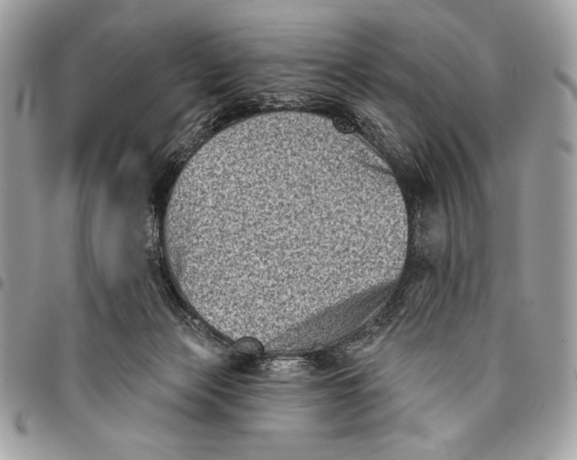 X0000096130173200802081333