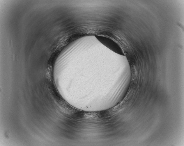X0000096130175200802081333