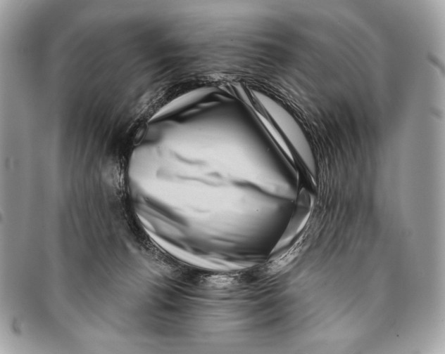 X0000096130176200802081333