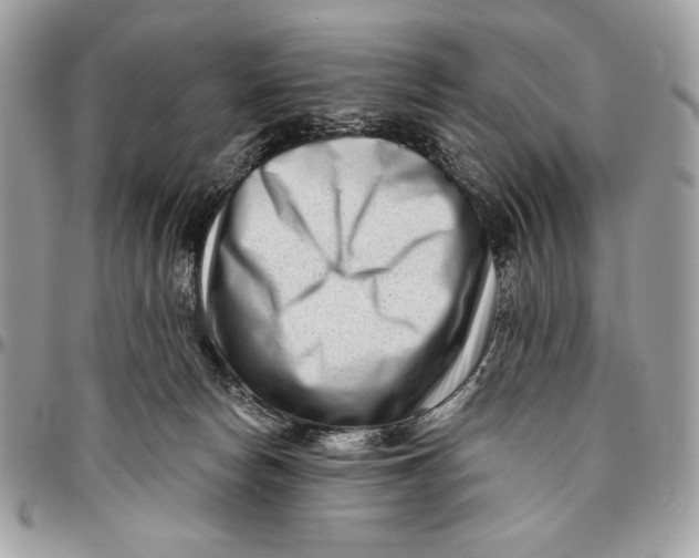 X0000096130178200802081333