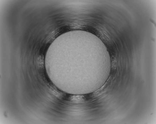 X0000096130179200802081334