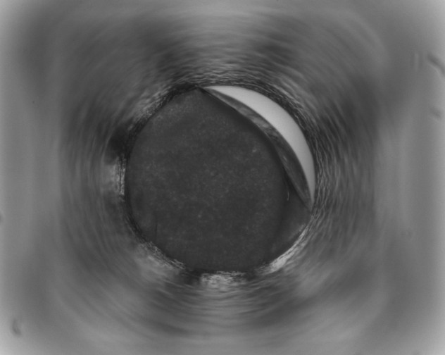 X0000096130180200802081334