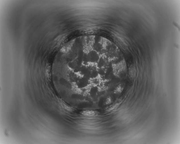 X0000096130181200802081334