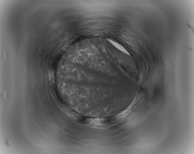 X0000096130182200802081334