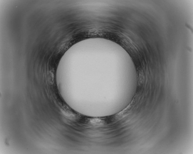 X0000096130183200802081334