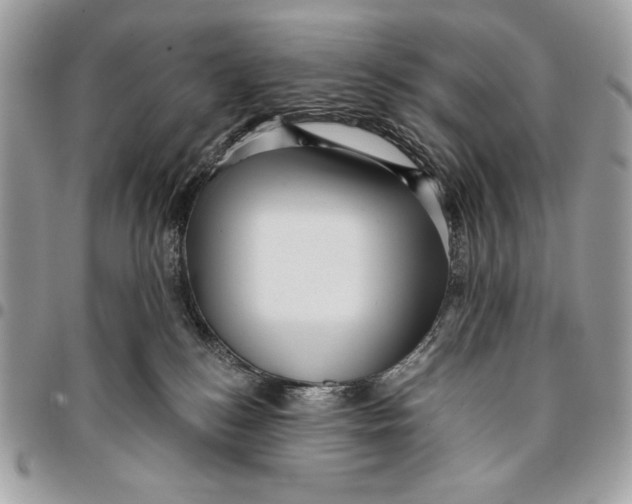 X0000096130184200802081334