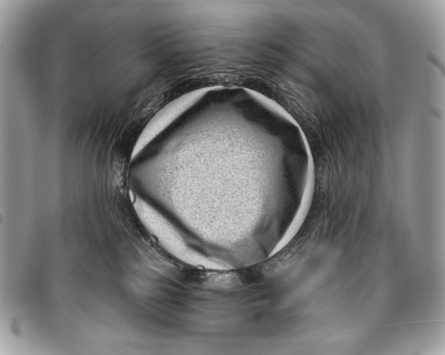 X0000096130185200802081334