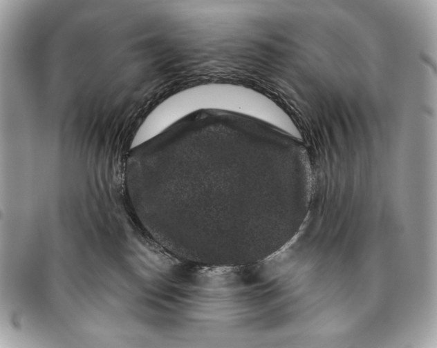X0000096130186200802081334