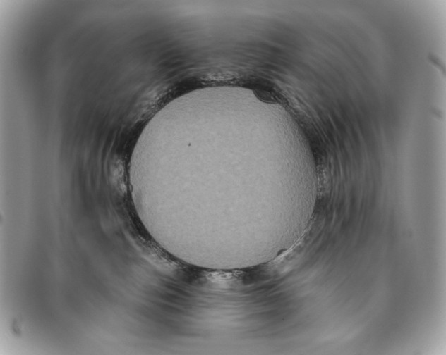 X0000096130187200802081334