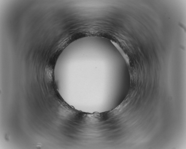 X0000096130188200802081334
