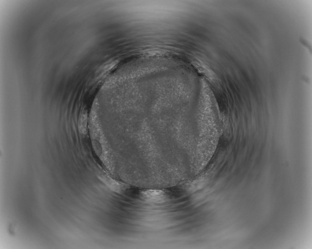 X0000096130189200802081334