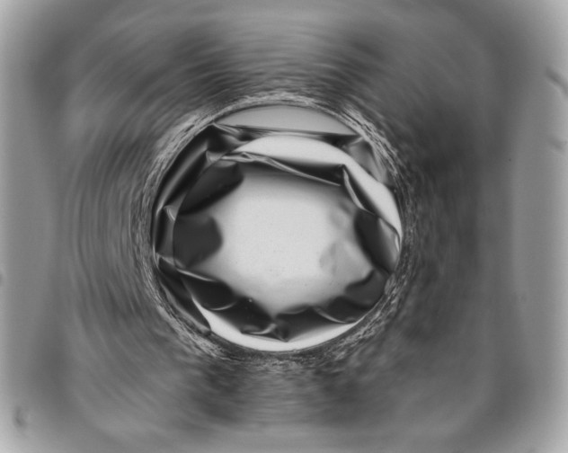 X0000096130193200802081333
