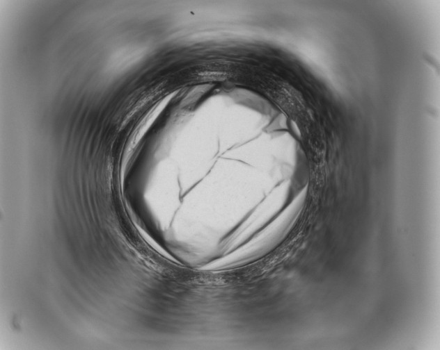 X0000096130194200802081333