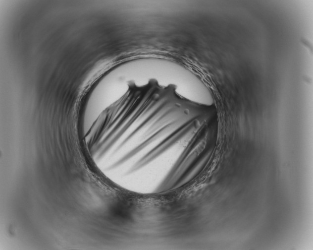 X0000096130197200802081333