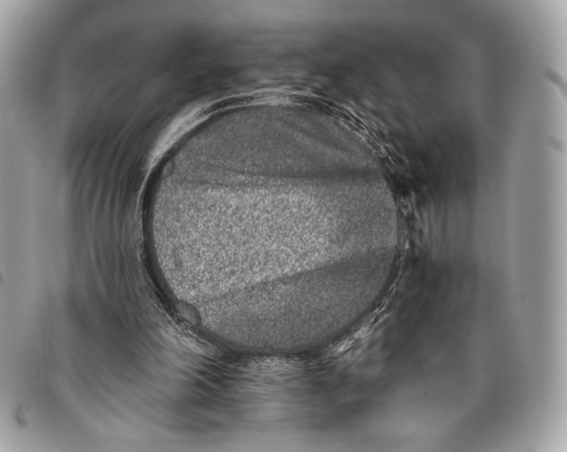X0000096130198200802081333
