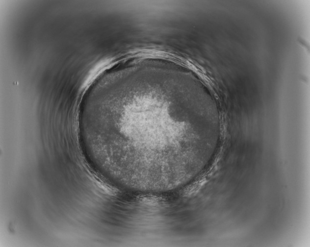 X0000096130199200802081333