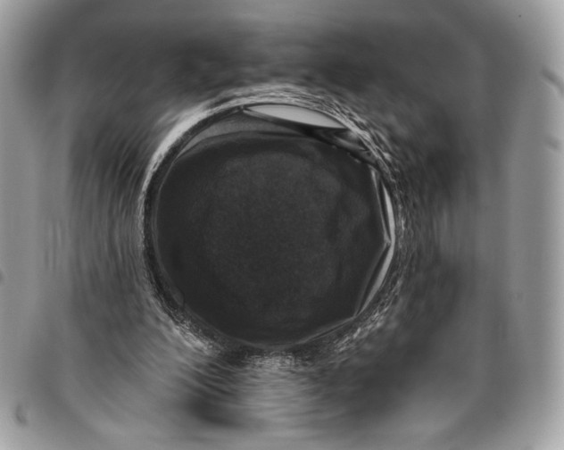 X0000096130200200802081333