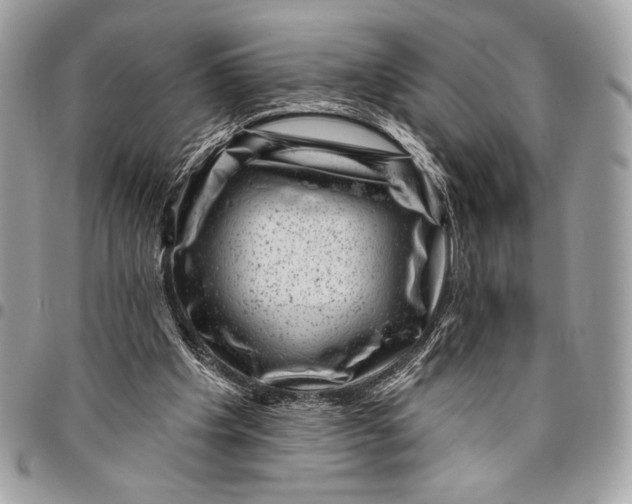 X0000096130201200802081333