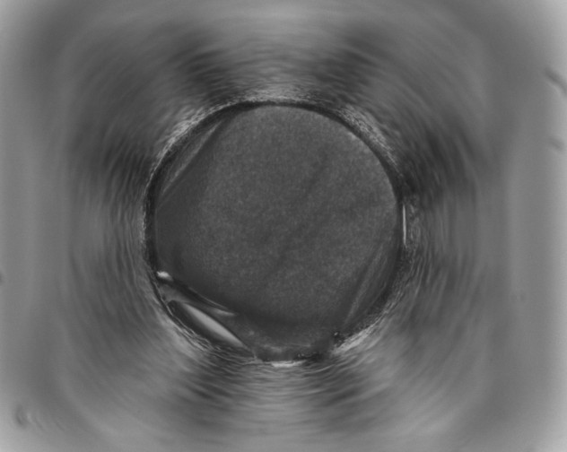 X0000096130204200802081333