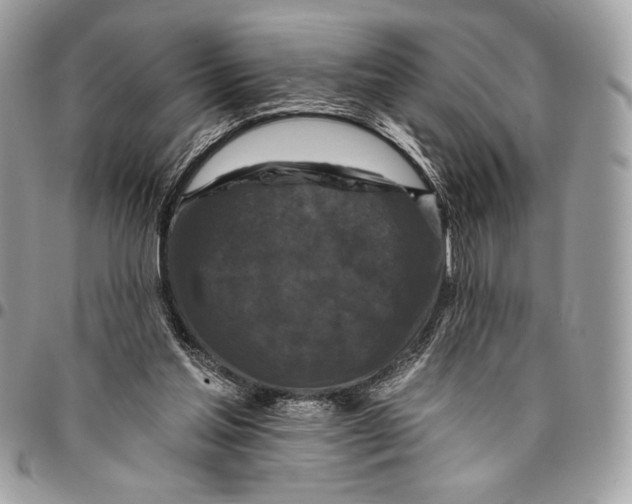 X0000096130205200802081333