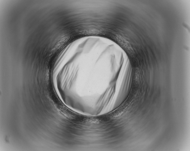 X0000096130206200802081333