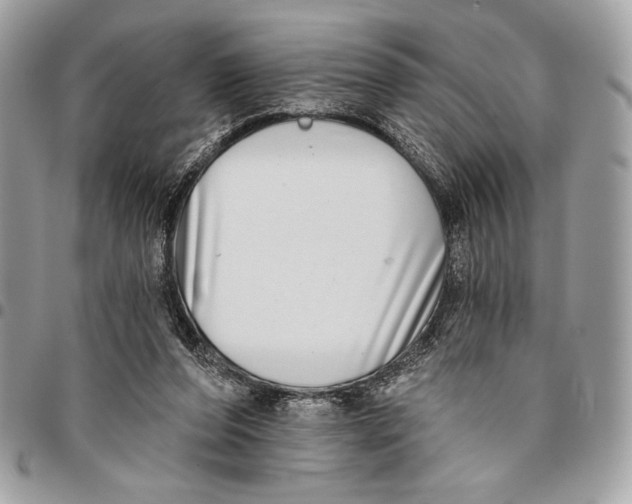 X0000096130208200802081333