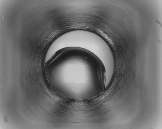 X0000096130209200802081333