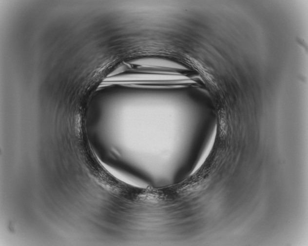X0000096130211200802081333