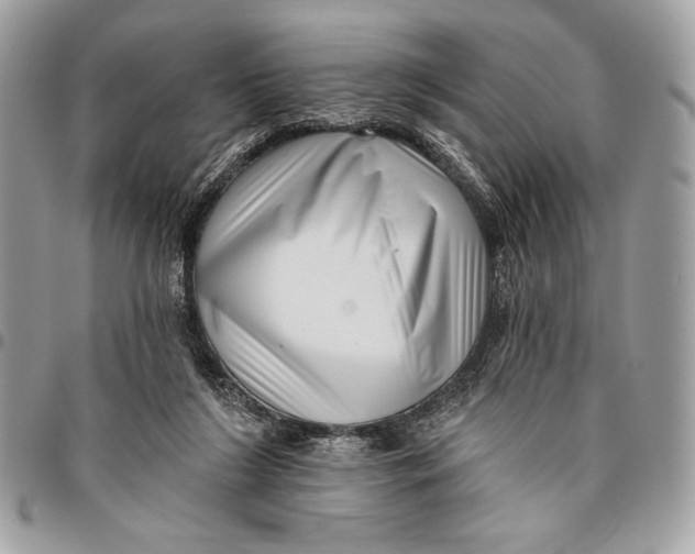 X0000096130212200802081333