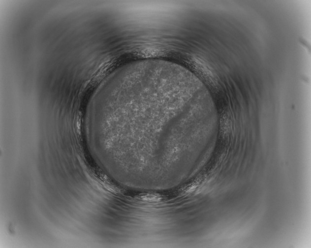 X0000096130214200802081333