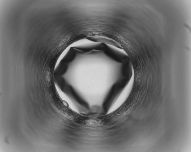 X0000096130215200802081333