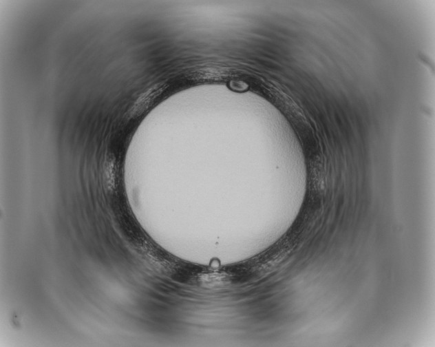 X0000096130216200802081333
