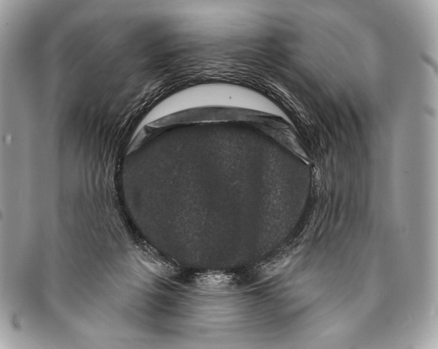 X0000096130217200802081333