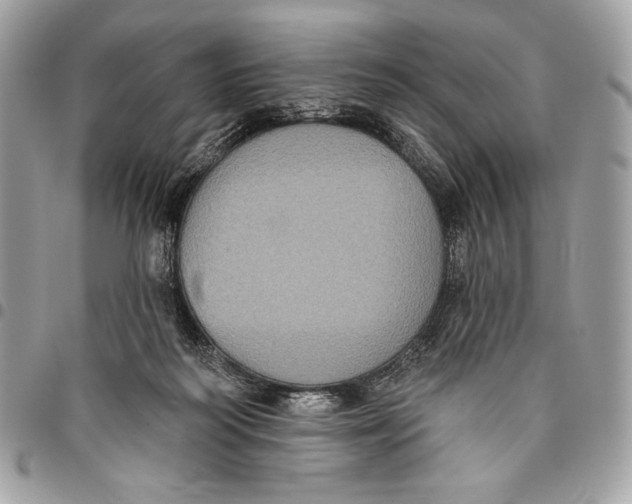 X0000096130218200802081333