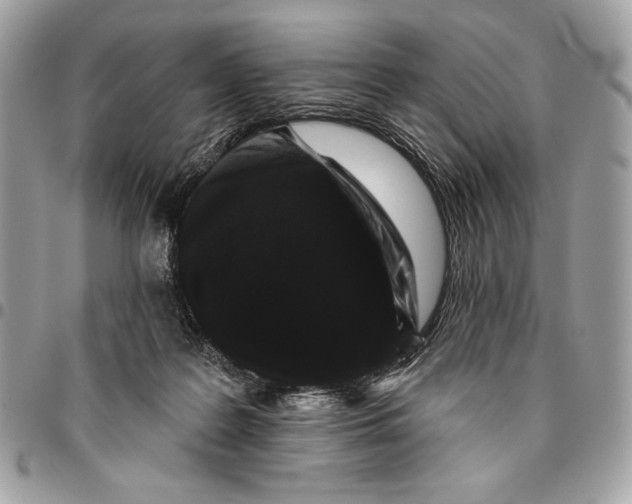 X0000096130219200802081333
