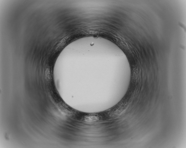 X0000096130220200802081333