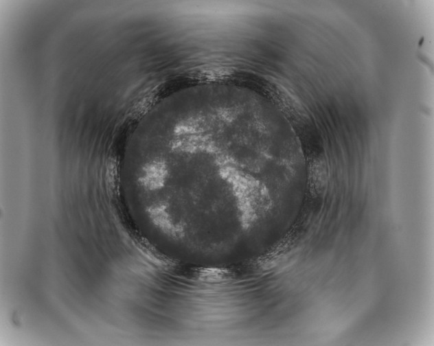 X0000096130222200802081333