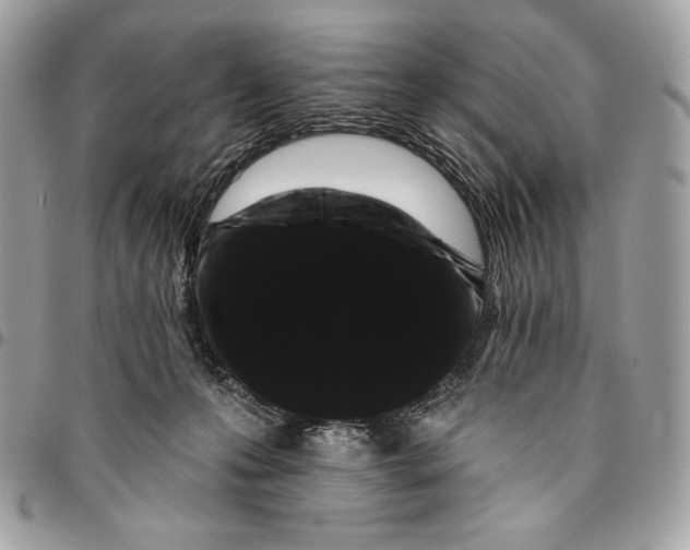 X0000096130223200802081333
