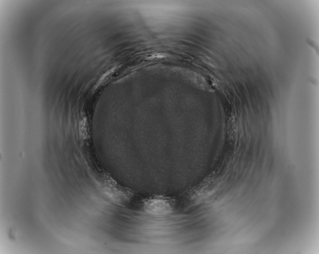 X0000096130224200802081333