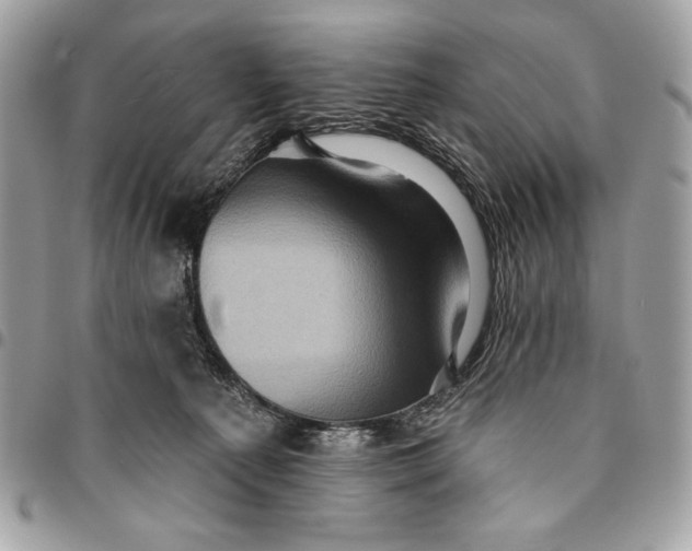 X0000096130225200802081333