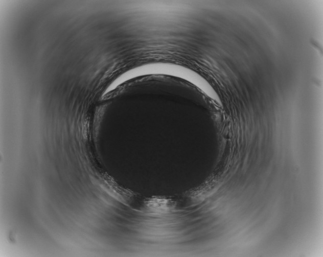 X0000096130227200802081333