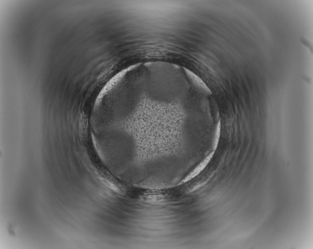 X0000096130228200802081333