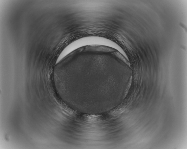 X0000096130229200802081333