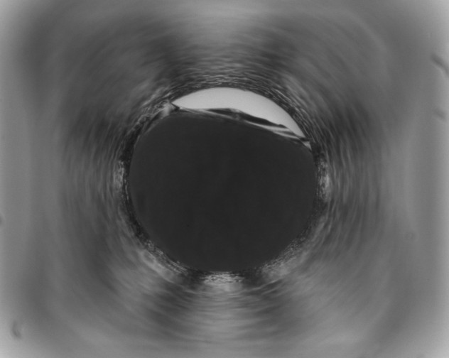 X0000096130231200802081333