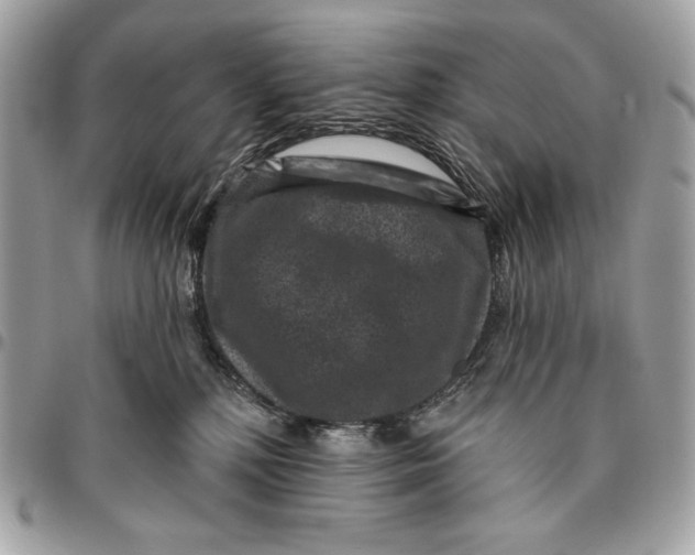 X0000096130232200802081333