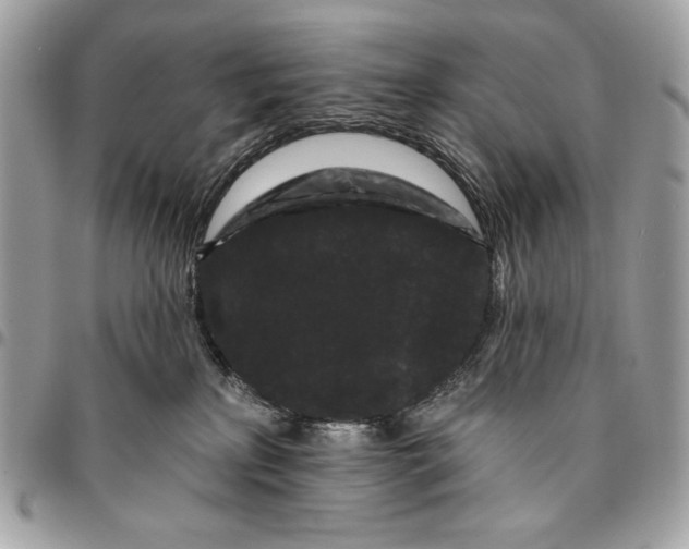 X0000096130233200802081332