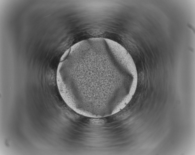 X0000096130234200802081332