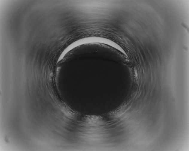 X0000096130235200802081332