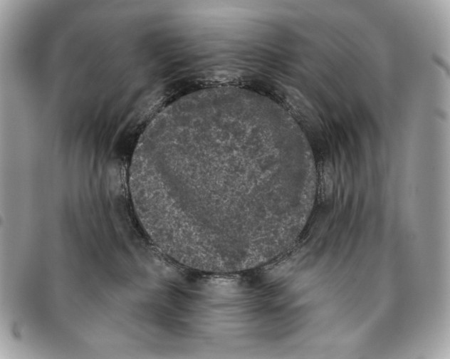 X0000096130236200802081332