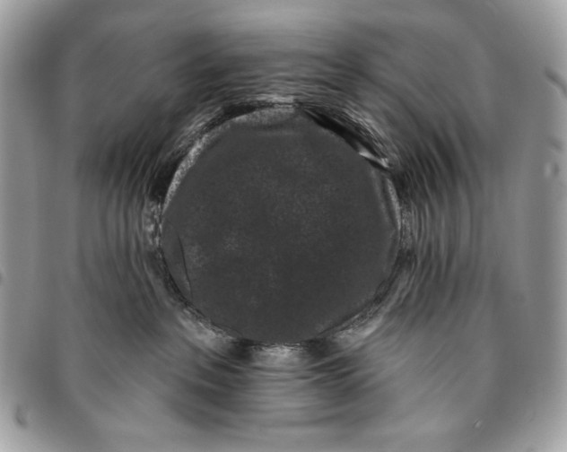 X0000096130237200802081332